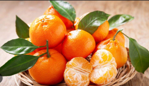 Vận chuyển quýt đi Nga