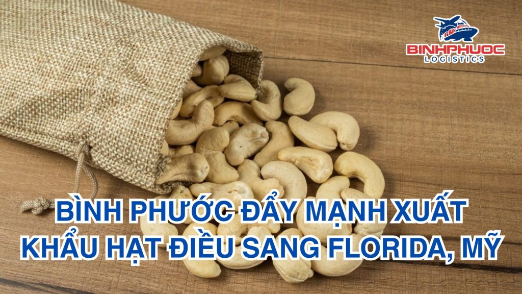 Bình Phước đẩy mạnh xuất khẩu hạt điều sang Florida, Mỹ