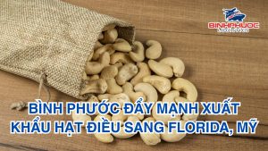 Bình Phước đẩy mạnh xuất khẩu hạt điều sang Florida, Mỹ