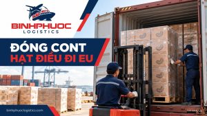 Đóng container hạt điều đi EU từ Bình Phước – ảnh minh họa