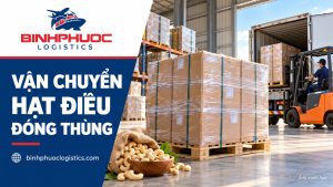Vận chuyển hạt điều đóng thùng – Bình Phước Logistics, ảnh minh họa